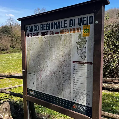 Luxury In The Jungle * Formello