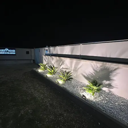 Luxury In The Jungle Villa Formello